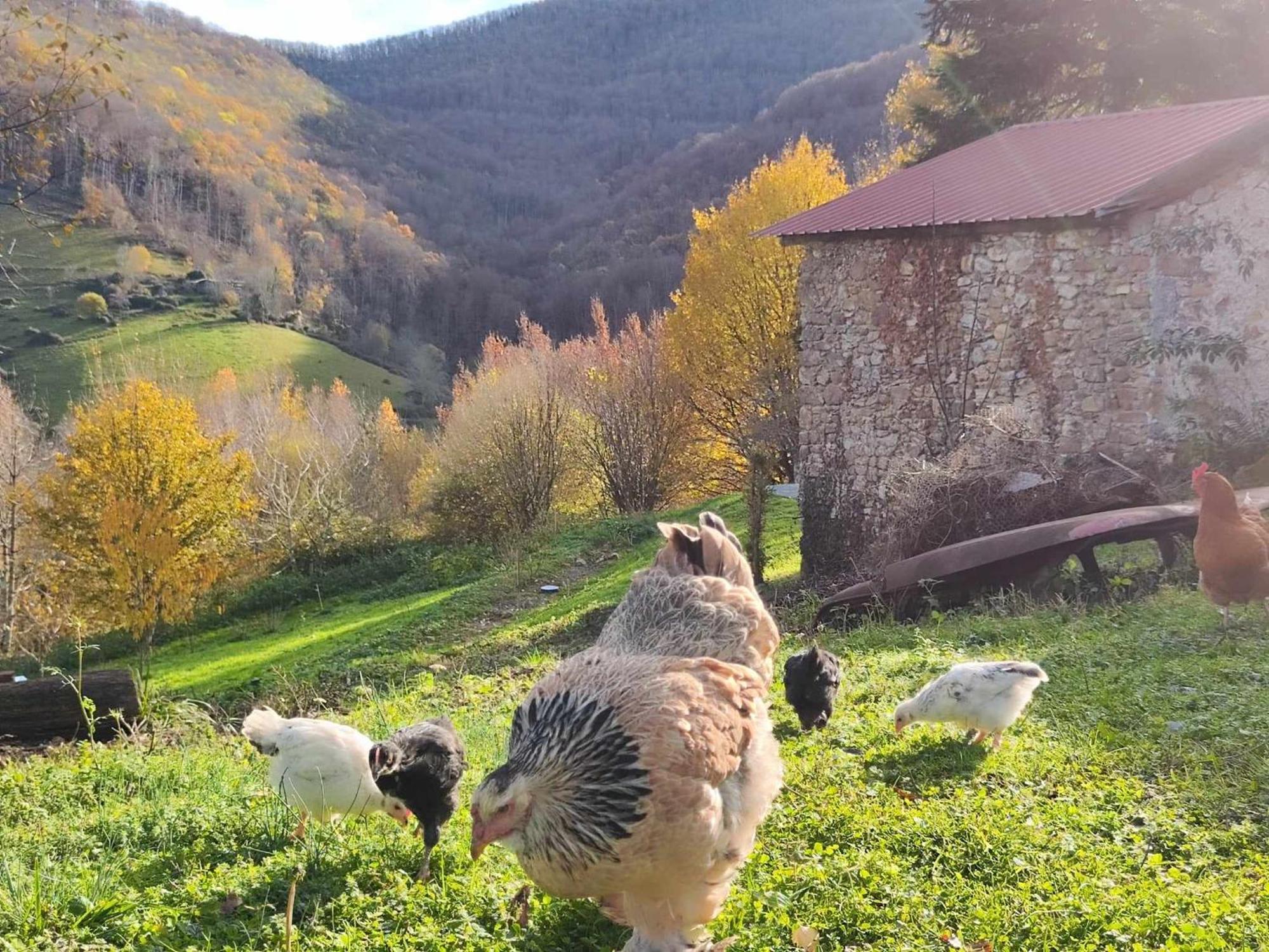 Maison Berthranet Seich Esterno foto