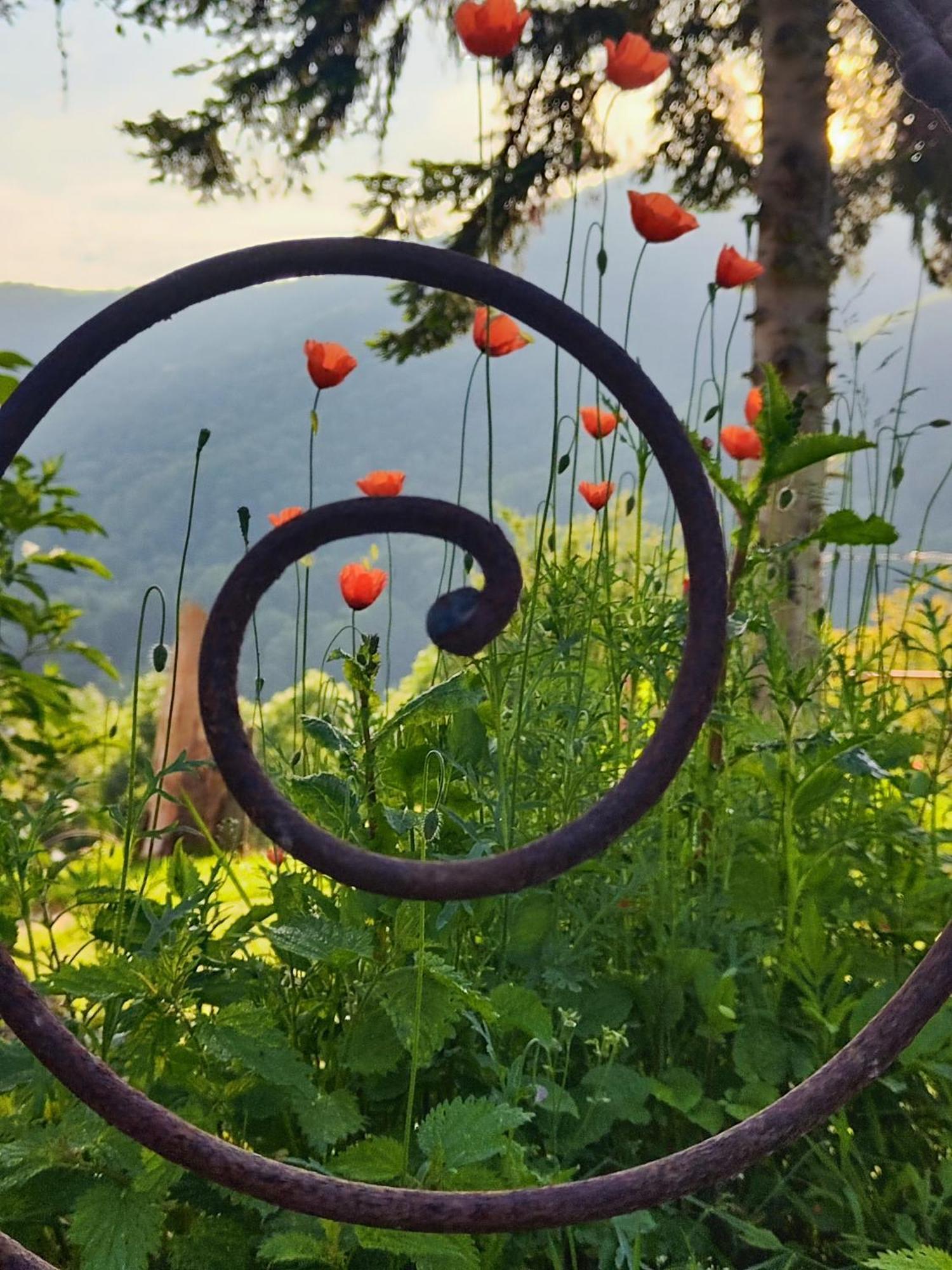 Maison Berthranet Seich Esterno foto