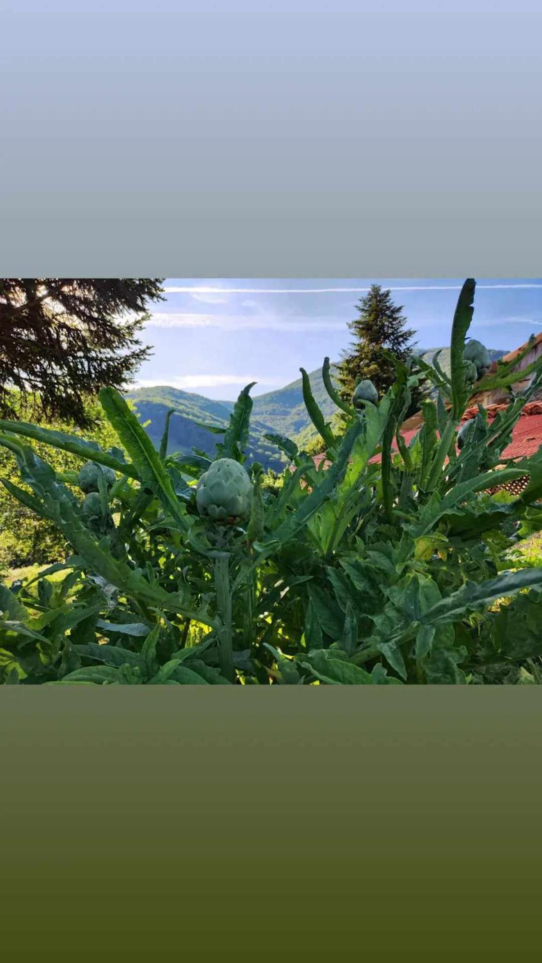 Maison Berthranet Seich Esterno foto