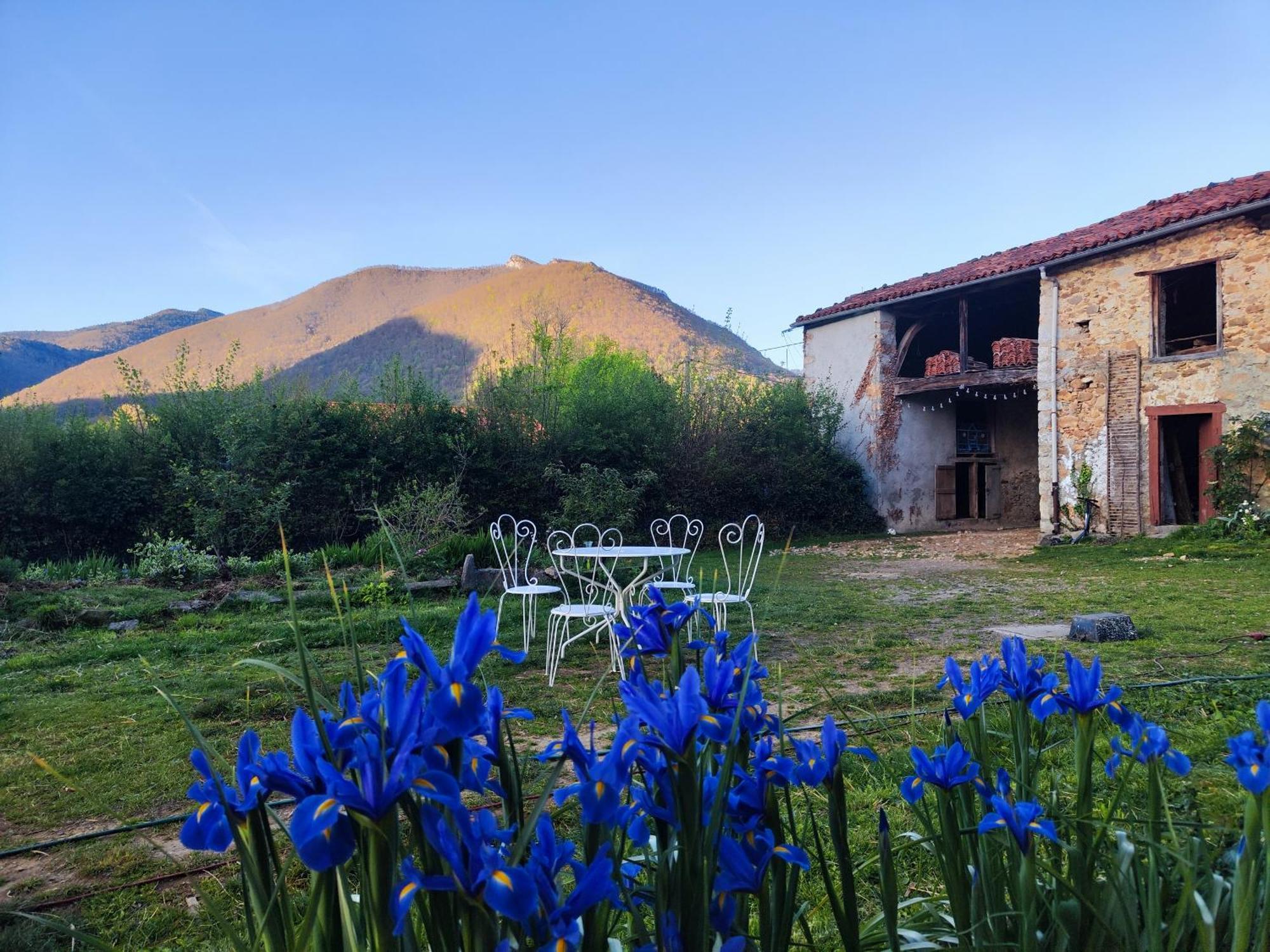 Maison Berthranet Seich Esterno foto