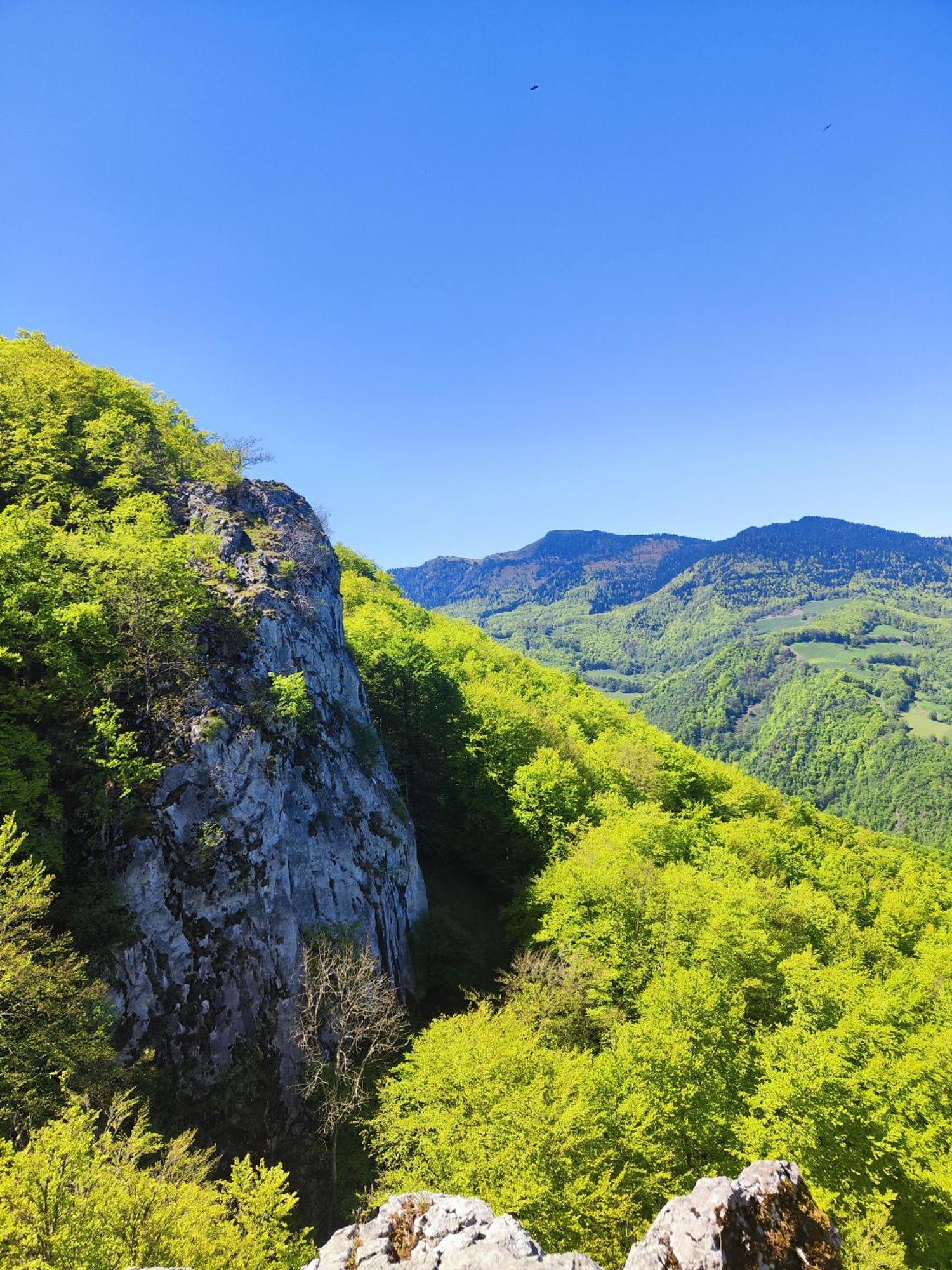 Maison Berthranet Seich Esterno foto